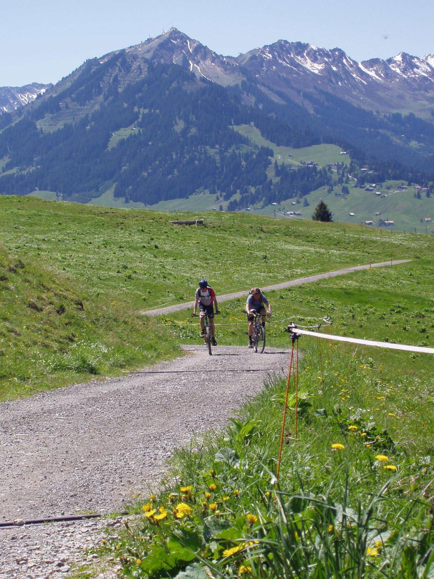 Gaestehaus Zur Faerbe Apartments Oberstdorf Luaran gambar
